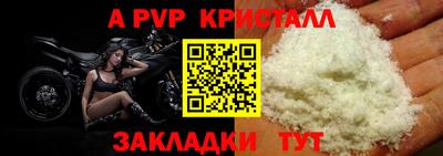 стаф Моздок