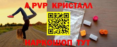стаф Моздок