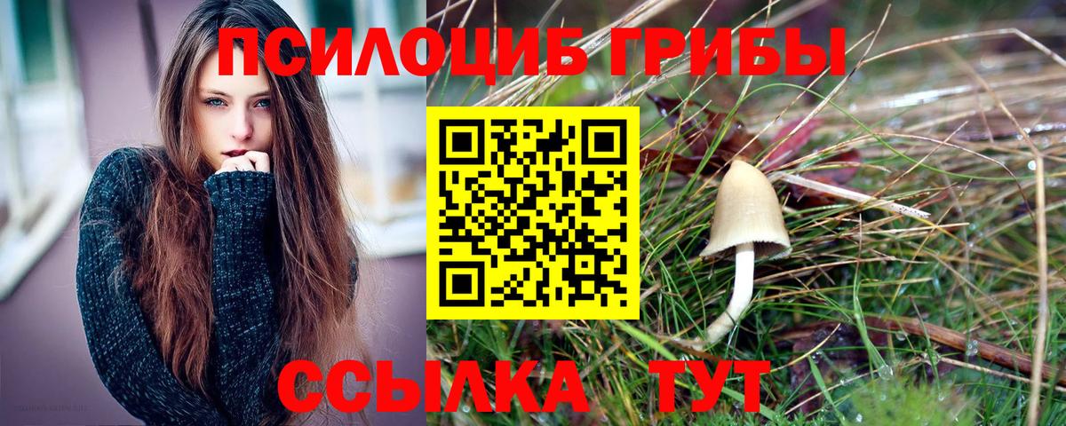 Псилоцибиновые грибы Magic Shrooms Усинск